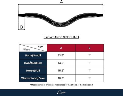 Exion Horse Browband لللجام الإنجليزي | شكل منحني ناعم مبطن مع browband الكريستال بلينغ حصان للعرض والاردين | بلورات in Kuwait
