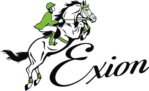 Exion Horse Browband لللجام الإنجليزي | شكل منحني ناعم مبطن مع browband الكريستال بلينغ حصان للعرض والاردين | بلورات in Kuwait