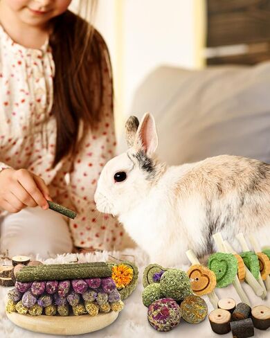 40PCS Rabbit Toys For Bunnies Boredom Basket for Small Pets, With 14PCS Replacement Pack Hanging Rodent Dental Toys with Papaya Stems Sweet Bamboo (Hamsters, Rabbits, Chinchillas, Guinea Pigs) in Kuwait
