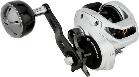 Shimano TRANX 300 B Low Profile Reels Fishing in Saudi Arabia