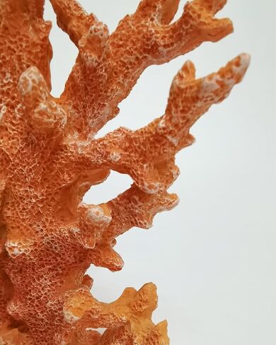 Lifelike Coral Reef Sculpture Statue - Handmade Resin Ocean Decor for Aquarium, Desk, Bathroom, Shelf - Coastal Beach Nautical Theme Gift for Home & Office in Saudi Arabia