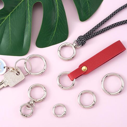 2 Sets Metal Spring Carabiners, Light Gold Swivel Lobster Clasps Clips with O Rings, Alloy Round Snap Spring Key Clips for Purse, Bag Chain, DIY Crafts for Men, Women (6PCS O Rings) in Kuwait