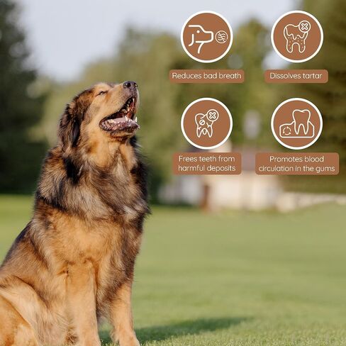 Wildfang Olive Wood - Chewing Stick for Dogs, 100% Natural Dog Toy, Dental Care & Training (S) in Kuwait