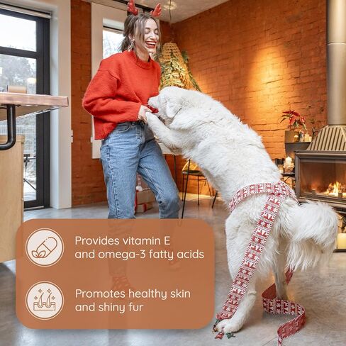 Wildfang Olive Wood - Chewing Stick for Dogs, 100% Natural Dog Toy, Dental Care & Training (S) in Kuwait
