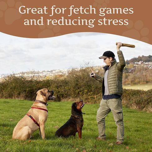 Wildfang Olive Wood - Chewing Stick for Dogs, 100% Natural Dog Toy, Dental Care & Training (S) in Kuwait