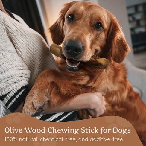 Wildfang Olive Wood - Chewing Stick for Dogs, 100% Natural Dog Toy, Dental Care & Training (S) in Kuwait