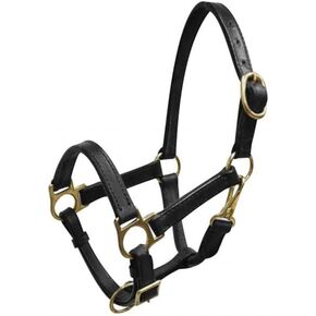 خلاصة المهر/الفطام المصنوع من الجلد مع الأجهزة النحاسية in Kuwait