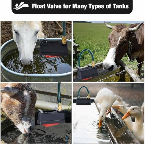 صمام تعويم حوض المياه ، صمام تعويم خزان المياه لمزرعة الماعز للماشية الحصان ، وميزة الحصان التلقائي لخزان الأسهم ، وميت الماشية التلقائي لخزانات المخزون in Kuwait