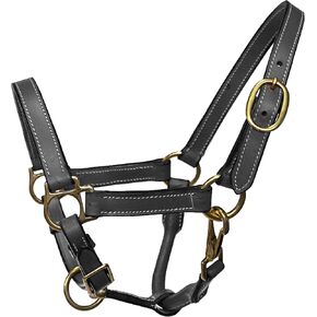 Miniature Horse Size Leather Halter with Brass Hardware in Saudi Arabia