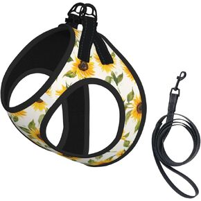 American Star Flag No Pull Dog Harness and Leash Set, Reflective Vest for Small Dogs, Adjustable Breathable Cute Classic Mesh Puppy Harness for Walking Hiking,Medium in Kuwait