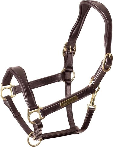 Shires Velociti Rapida Cushioned Leather Halter in Saudi Arabia