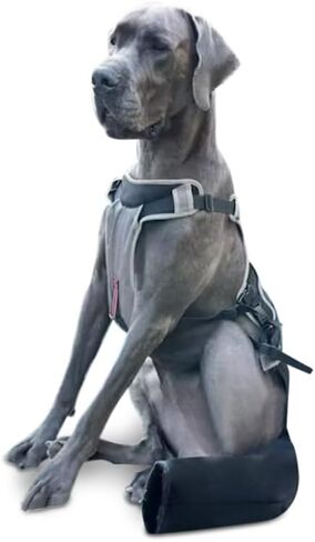 K9 TailSaver® Dog Tail Protector,USA Owned,Protects Injuries and Wounds,Recovery Guard,Adjustable (57-90lb,Tails 10.5-18.5" Large) in Saudi Arabia