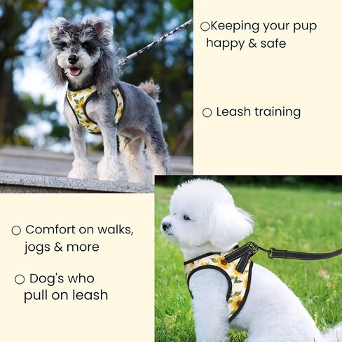 American Star Flag No Pull Dog Harness and Leash Set, Reflective Vest for Small Dogs, Adjustable Breathable Cute Classic Mesh Puppy Harness for Walking Hiking,Medium in Kuwait