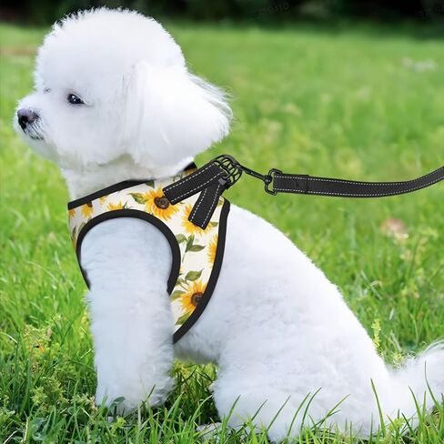 American Star Flag No Pull Dog Harness and Leash Set, Reflective Vest for Small Dogs, Adjustable Breathable Cute Classic Mesh Puppy Harness for Walking Hiking,Medium in Kuwait