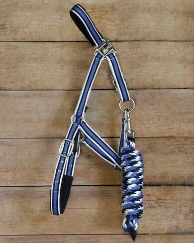 دوفر سرجليري الفروسية مبطنة مخطط مخطط الرسن الرصاص - الفحم - Horse -F/S in Kuwait