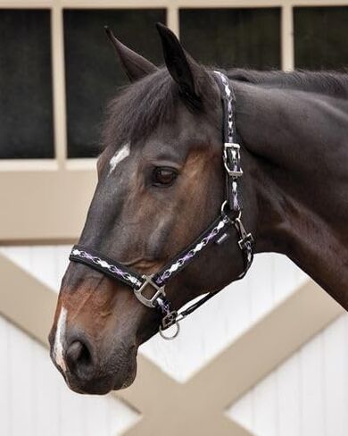 Dover Saddlery Suffolk المنسوج Argyle Breakaway Halter - أسود/أرجواني/أبيض - Horse -F/S in Saudi Arabia