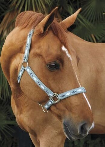 Dover Saddlery Suffolk المنسوج Argyle Breakaway Halter - أسود/أرجواني/أبيض - Horse -F/S in Saudi Arabia
