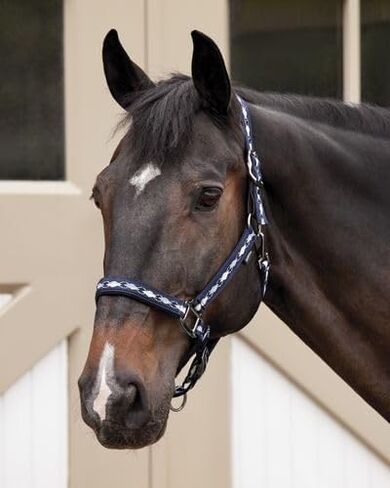Dover Saddlery Suffolk المنسوج Argyle Breakaway Halter - أسود/أرجواني/أبيض - Horse -F/S in Saudi Arabia