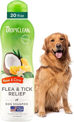 Tropiclean Doodorizing Dog Shampoo ، والتحكم القوي للرائحة ، ورائحة الجير التوت الطويل الأمد ، جرو آمن ، مصنوعة في الولايات المتحدة الأمريكية ، Cat Friendly ، 20oz. in Kuwait