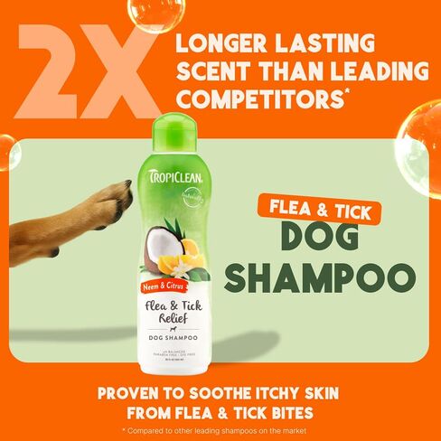 Tropiclean Doodorizing Dog Shampoo ، والتحكم القوي للرائحة ، ورائحة الجير التوت الطويل الأمد ، جرو آمن ، مصنوعة في الولايات المتحدة الأمريكية ، Cat Friendly ، 20oz. in Kuwait