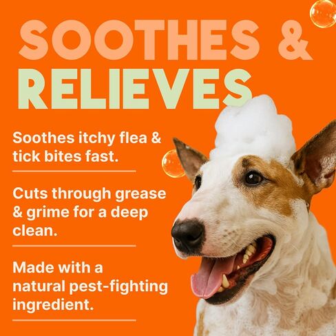 Tropiclean Doodorizing Dog Shampoo ، والتحكم القوي للرائحة ، ورائحة الجير التوت الطويل الأمد ، جرو آمن ، مصنوعة في الولايات المتحدة الأمريكية ، Cat Friendly ، 20oz. in Kuwait