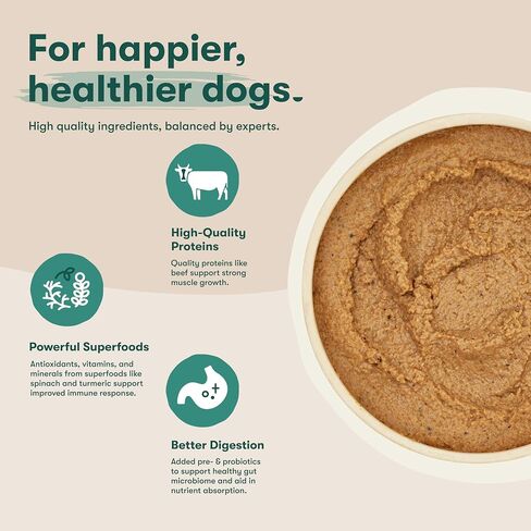 Jinx Chicken & Salmon Variety Pack Wet Dog Food, 13oz can, case of 12 in Saudi Arabia