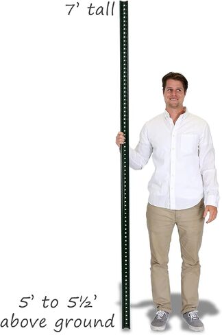 SmartSign 7 Foot Standard Sign Sign Post ، عرض مينا 2-1/4 بوصة ، من الصلب المخبوز ، ثقوبًا مسبقًا ، مقاوم للصدأ ، أخضر (يشمل الأجهزة) in Saudi Arabia