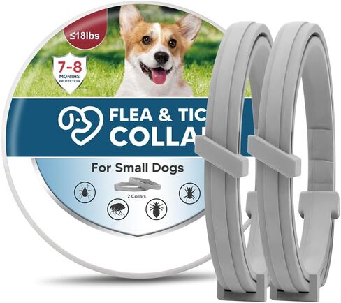 Dog Collars, Naturally in Saudi Arabia