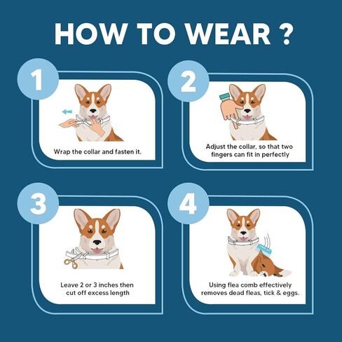 Dog Collars, Naturally in Saudi Arabia