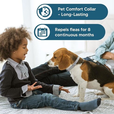 Dog Collars, Naturally in Saudi Arabia