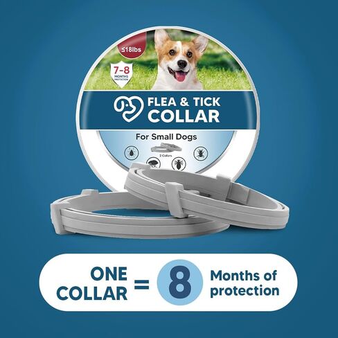 Dog Collars, Naturally in Saudi Arabia