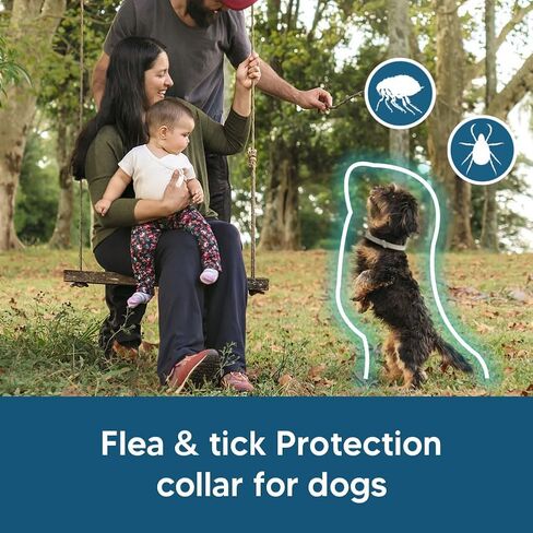 Dog Collars, Naturally in Saudi Arabia