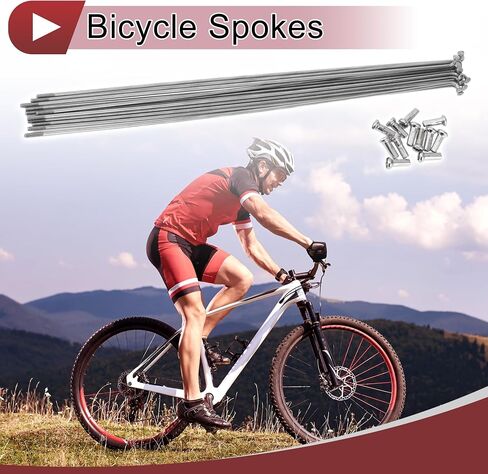 12 Set 14G Bicycle Spokes 239mm Bike Wheel Spokes 304 Stainless Steel Silver Tone in Saudi Arabia