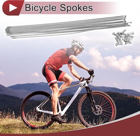 12 Set 14G Bicycle Spokes 280mm Bike Wheel Spokes 304 Stainless Steel Silver Tone in Saudi Arabia