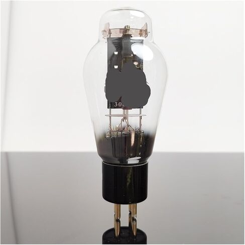1/2/4PCS 300B-L AUDIO AUTIO TUBE APPLIFIER (2pcs) in Saudi Arabia
