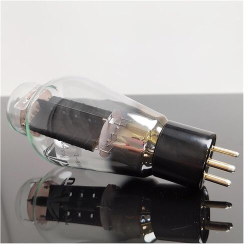 1/2/4PCS 300B-L AUDIO AUTIO TUBE APPLIFIER (2pcs) in Saudi Arabia