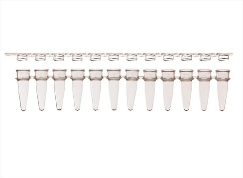 ProAmp™ 12-Strip PCR Tubes with Caps (0.2ml (200ul), Flat Cap) in Saudi Arabia