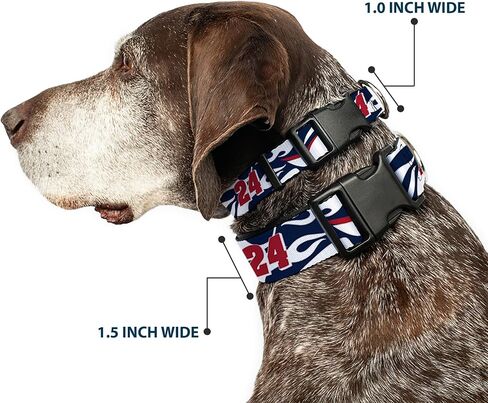 Hendrick Motorsports Pet Collar ، مشبك البلاستيك من طوق الكلاب ، William Byron #24 Car Scheme White Red Blue ، 11 إلى 16.5 بوصة in Saudi Arabia