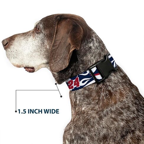 Hendrick Motorsports Pet Collar ، مشبك البلاستيك من طوق الكلاب ، William Byron #24 Car Scheme White Red Blue ، 11 إلى 16.5 بوصة in Saudi Arabia
