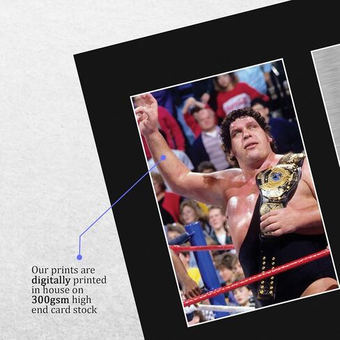 HWC Trading Andre the Giant Gifts Print Print Motagographic for WWE & WWF Memorabilia Fost in Kuwait