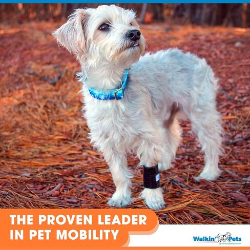 التفاف المعصم | دعامة الكلب للساق الأمامية | الدعم المشترك للكلاب | يساعد التهاب المفاصل الكلاب in Kuwait