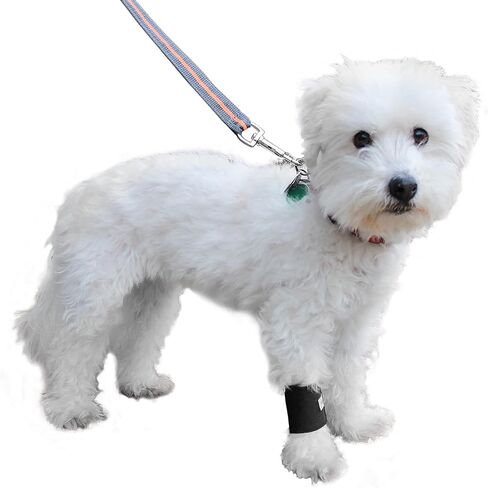 Wrist Wrap | Dog Brace for Front Leg | Joint Support for Dogs | Helps Canine Arthritis in Saudi Arabia