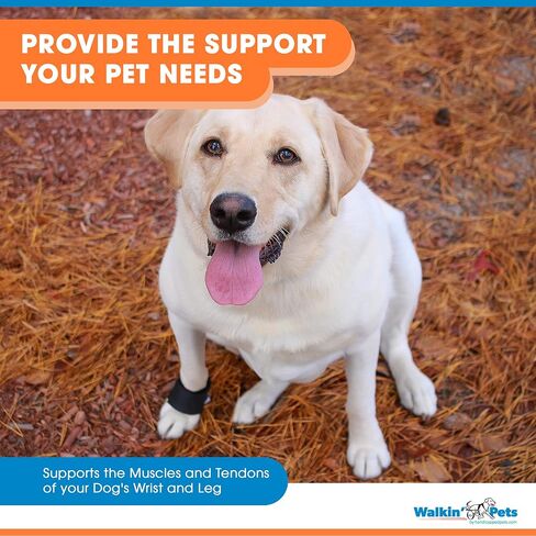 Wrist Wrap | Dog Brace for Front Leg | Joint Support for Dogs | Helps Canine Arthritis in Saudi Arabia