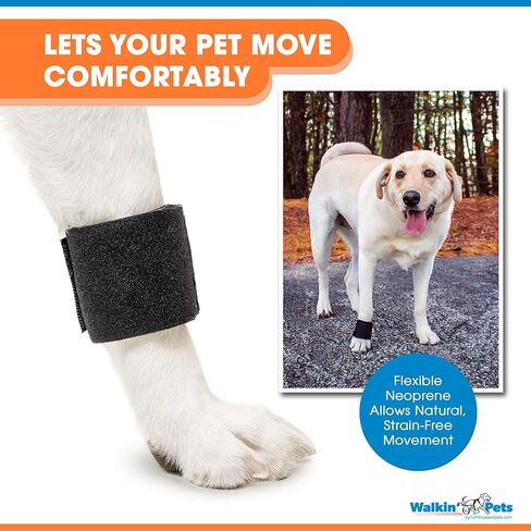Wrist Wrap | Dog Brace for Front Leg | Joint Support for Dogs | Helps Canine Arthritis in Saudi Arabia