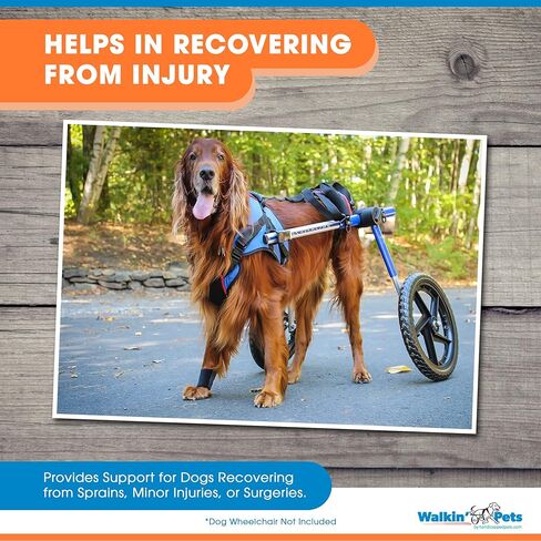 Wrist Wrap | Dog Brace for Front Leg | Joint Support for Dogs | Helps Canine Arthritis in Saudi Arabia