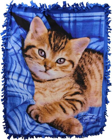 هريرة على طقم مزدوج الأزرق لا توجد مجموعة رمي الخياطة ، الأزرق ، 50 × 60 بوصة in Kuwait