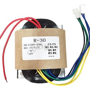 R30 30W معدات مضخم الطاقة 220V إلى 9V10V Double 17V R in Kuwait