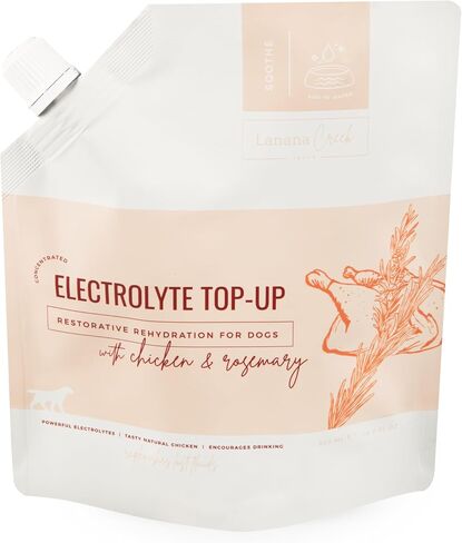Electrolyte Replenish 7.7 oz Glass Bottle with Pump | Vet-Formulated Hydration Booster | Restore Balance and Promote Recovery | Made in The USA in Saudi Arabia