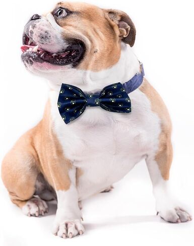 Pets First MLB Boston Red Sox Pet Collar مع القوس القابل للإزالة في لون الفريق والشعار in Saudi Arabia