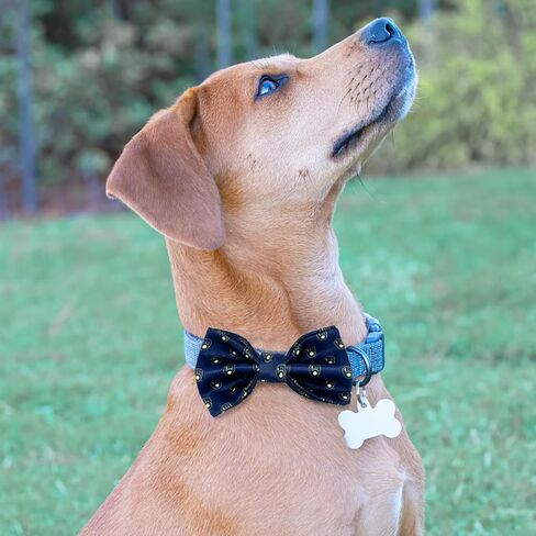 Pets First MLB Boston Red Sox Pet Collar مع القوس القابل للإزالة في لون الفريق والشعار in Saudi Arabia